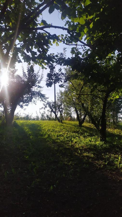 B&B Naturin - Cascina Colombaro Lauriano Bagian luar foto