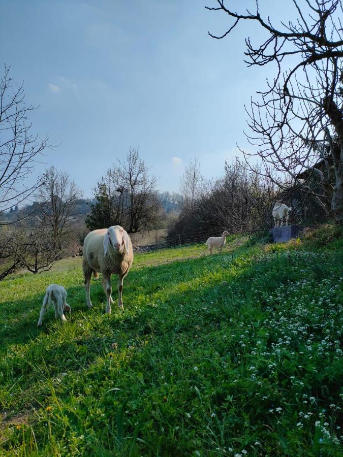 B&B Naturin - Cascina Colombaro Lauriano Bagian luar foto