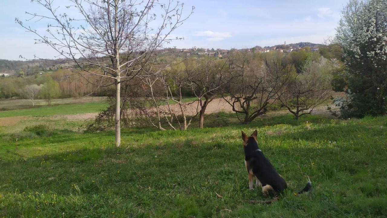 B&B Naturin - Cascina Colombaro Lauriano Bagian luar foto