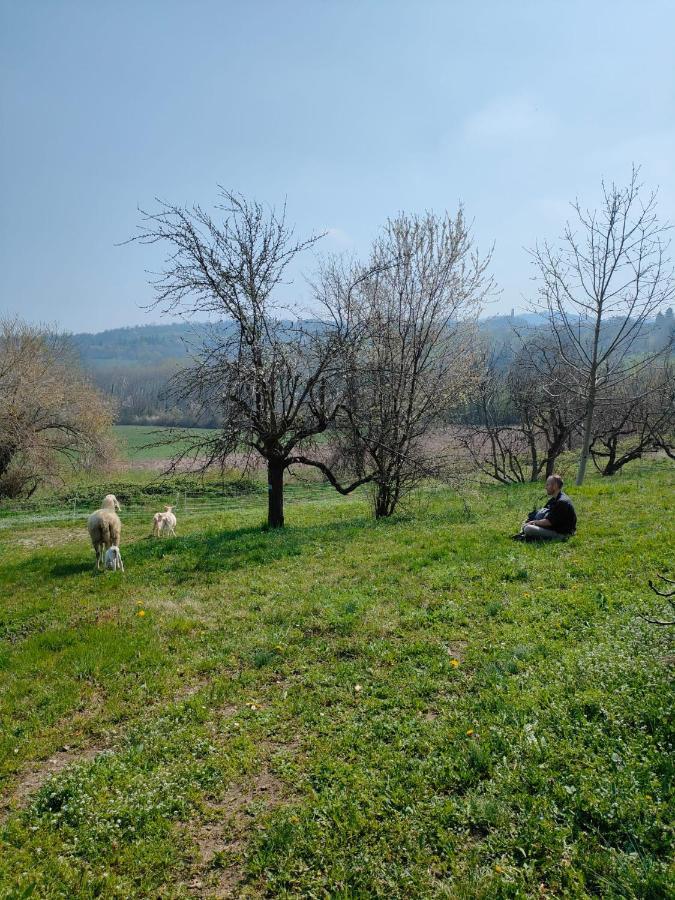 B&B Naturin - Cascina Colombaro Lauriano Bagian luar foto